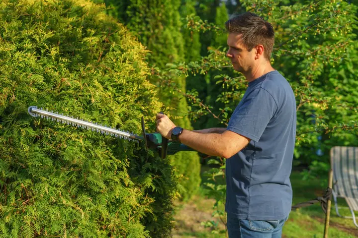 Mann schneidet eine Hecke mit der Heckenschere